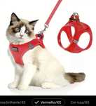 Arnes Para gato novo