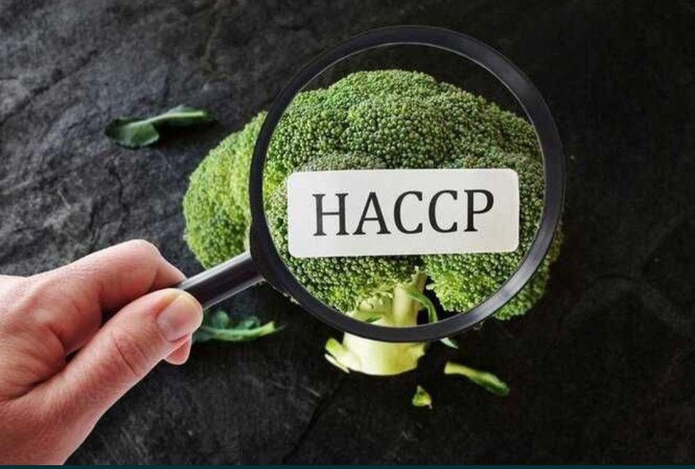 Księga HACCP wraz z dokumentacją GMP/GHP