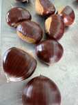 Castanhas novas graudas