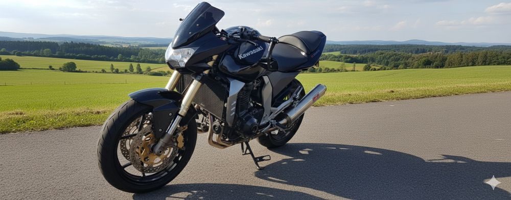 Kawasaki Z1000 03r