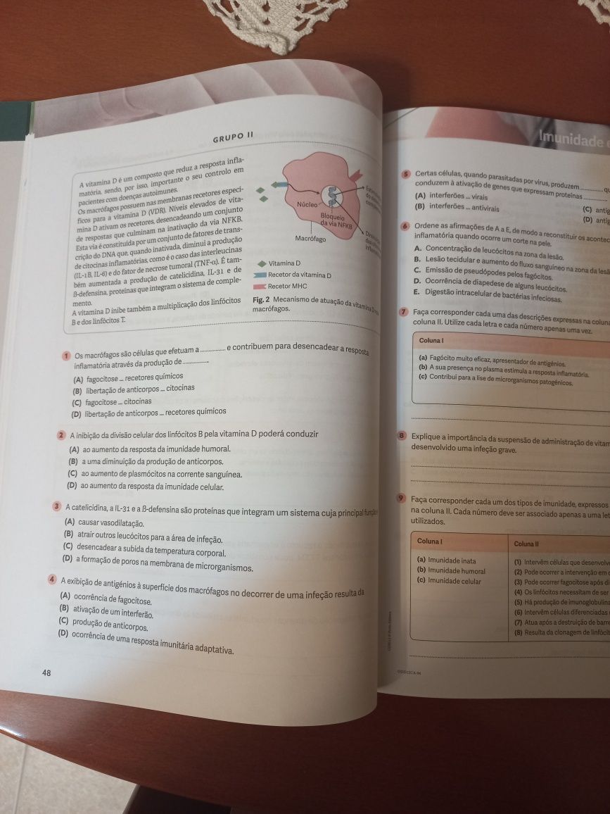 Caderno de atividades biologia 12° ano