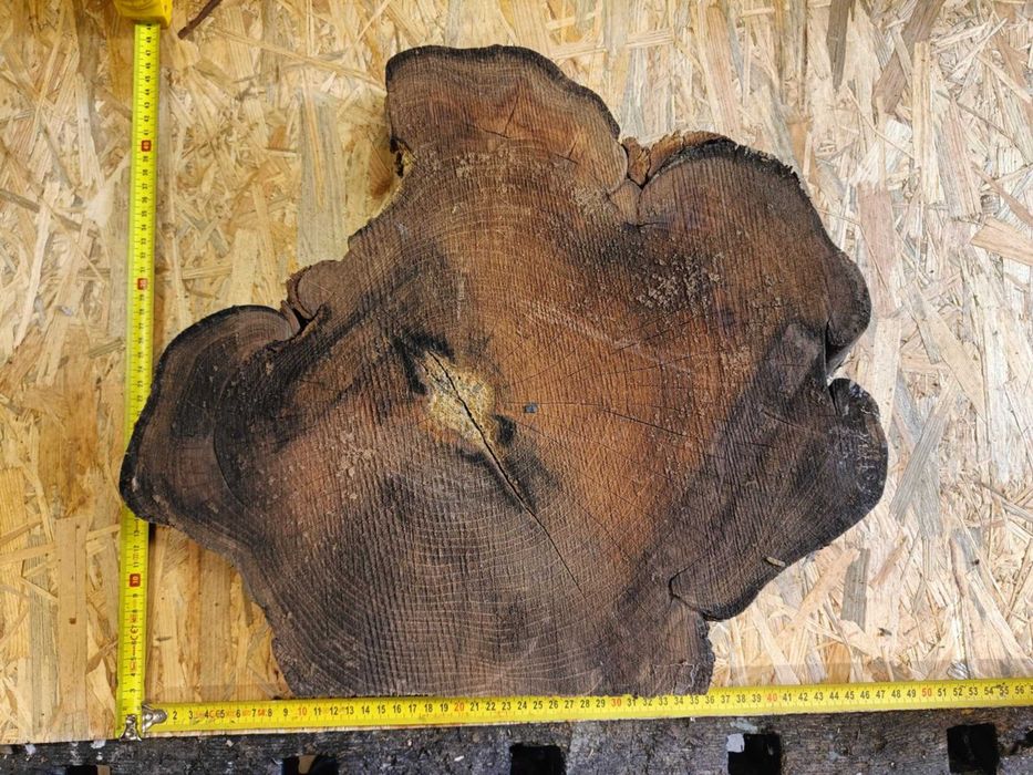 plastry plaster drewna akacja