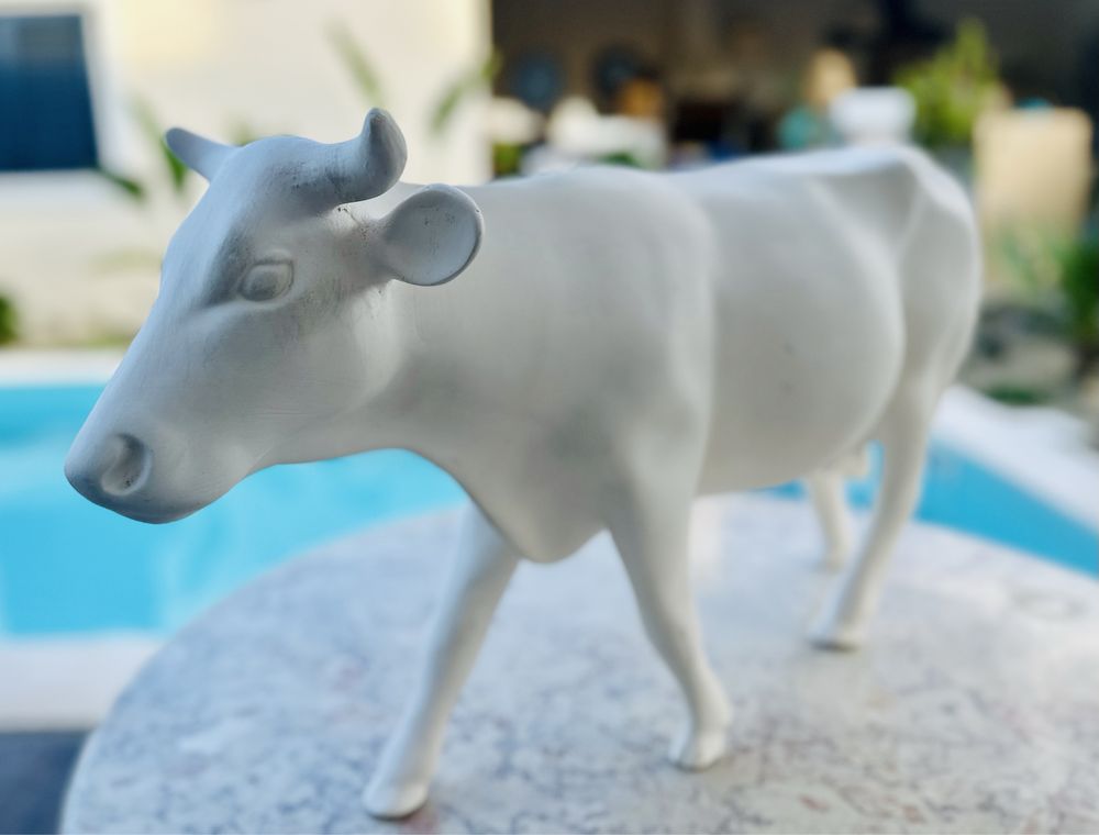 Lote de 3 vacas chacota de grrande dimensao
