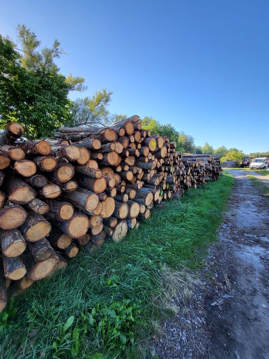 Drewno opałowe/kominkowe
