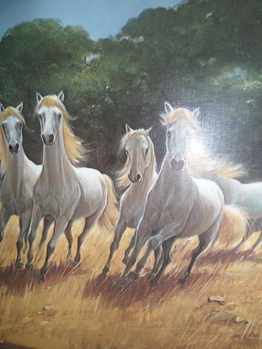 cavalos , quadro antigo grande , impressao