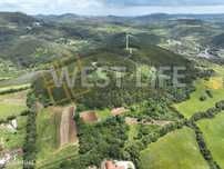 Terreno Rústico com 7031m2 - Vista Mar - Pinhal e Eucaliptal - EXCL...