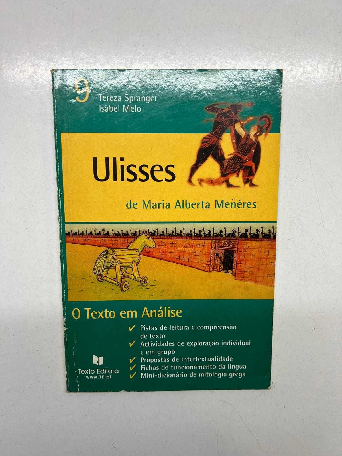 Livro - Ulisses - O texto em Análise  (ctt editorial grátis)