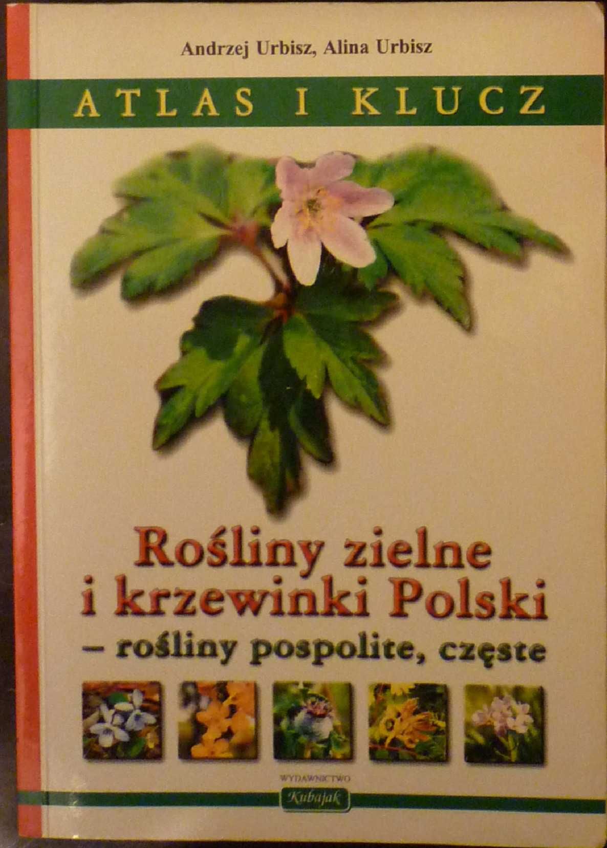 Pachnąca apteka Rośliny zielne krzewinki Polskie Zioła z apteki natury