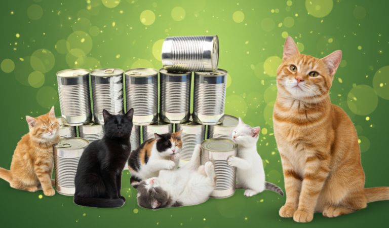 24X 400G Mokra Karma Dla Kota Puszka Wyprzedaż