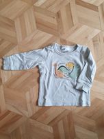 Bluzeczka w dinozaury rozmiar 62 H&m