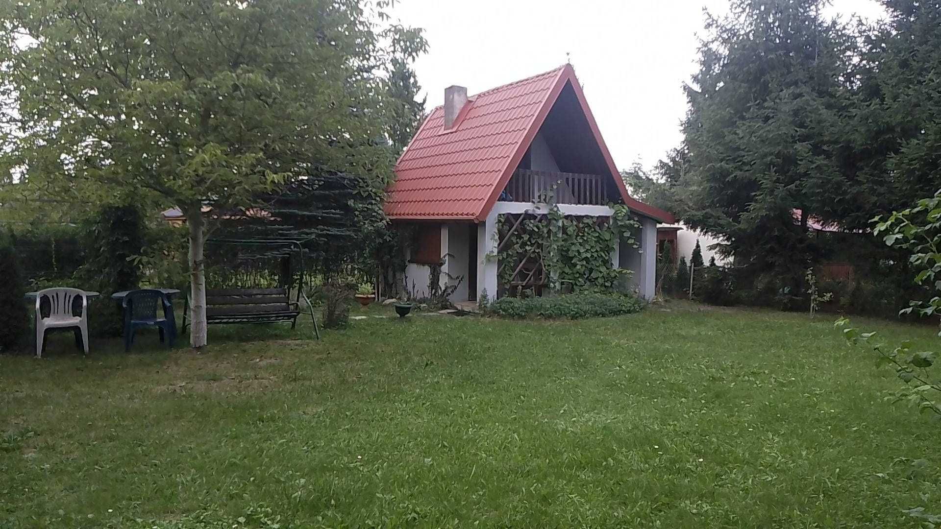 Działka warzywnicza z "Rodzinnego ogrodu działkowego Oaza"