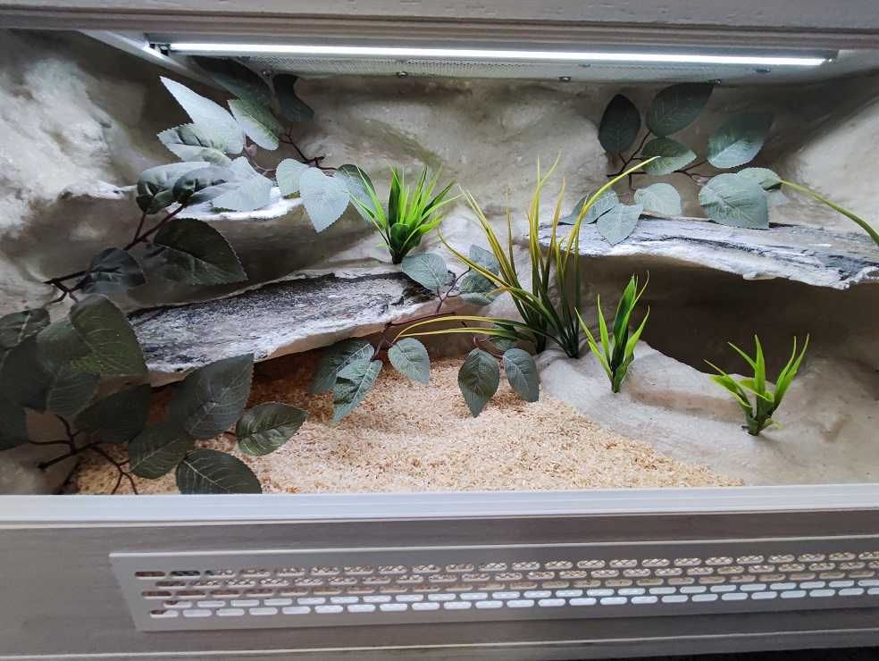 Terrarium tropikalne nr541 80/40/40 dla węża boa pyton NA ZAMÓWIENIE