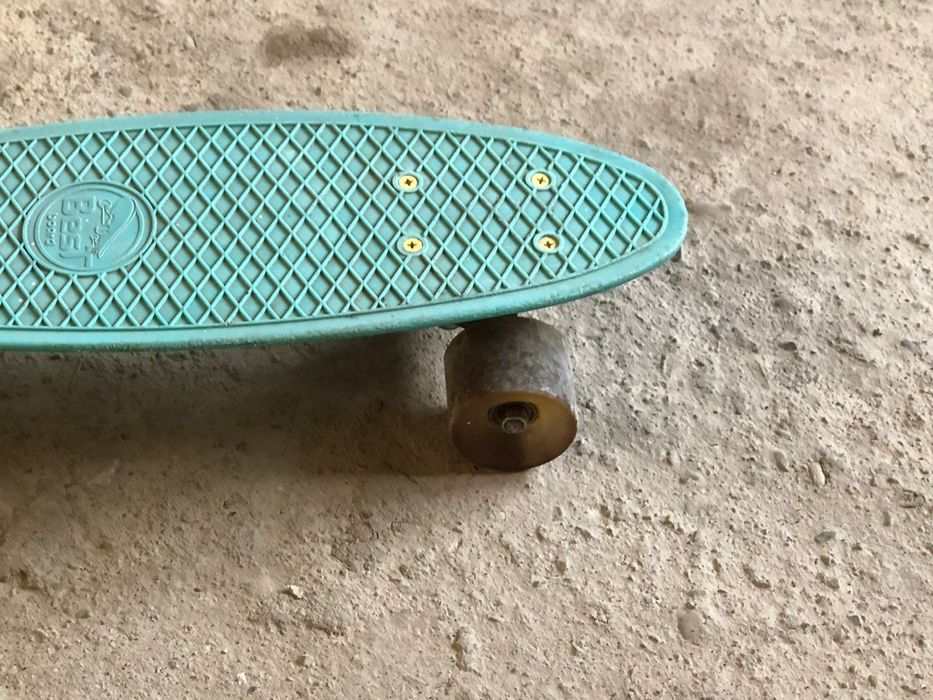 Пениборт униварсальный