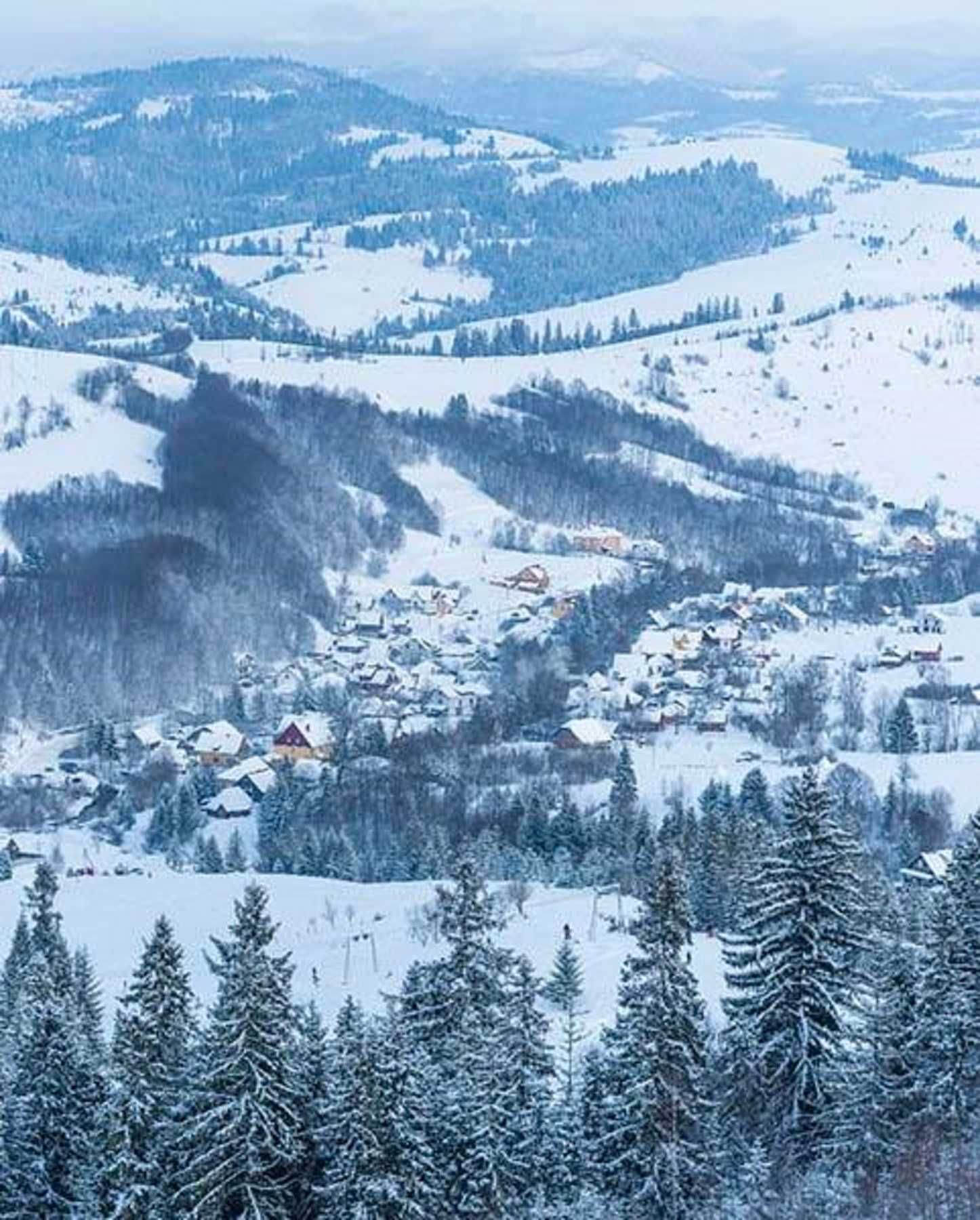 Продаж землі 1,43га, Закарпатьська обл., Міжгірський р-н, с.Пилипець