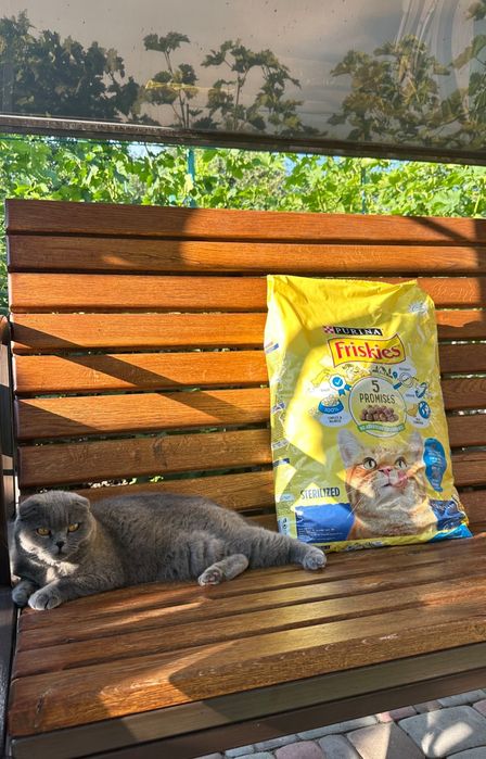 Продам сухий корм для котів ( розсип  на кг)