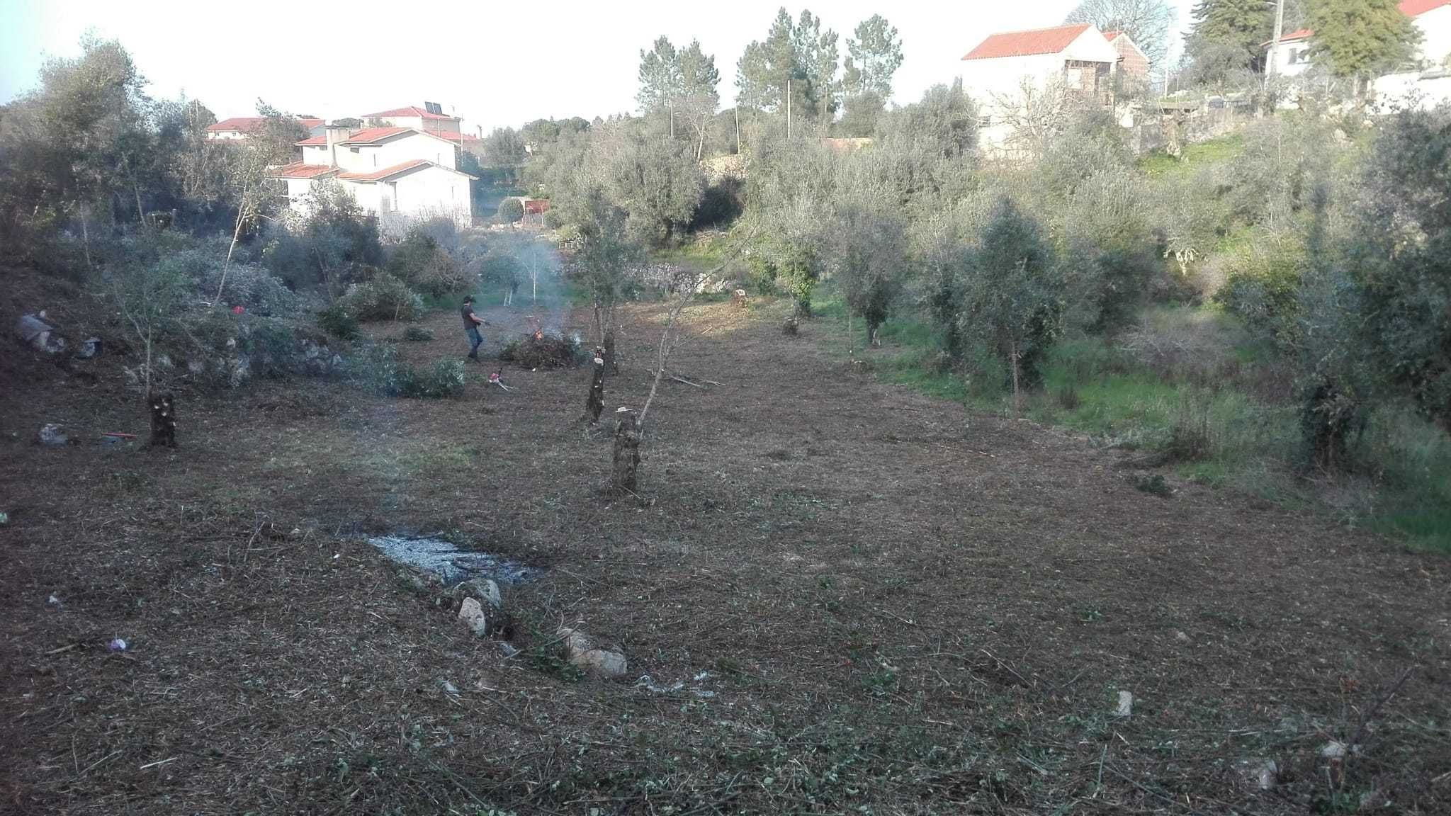 Terreno para construção em Ameixeira, Condeixa-a-Nova, 1360m2.