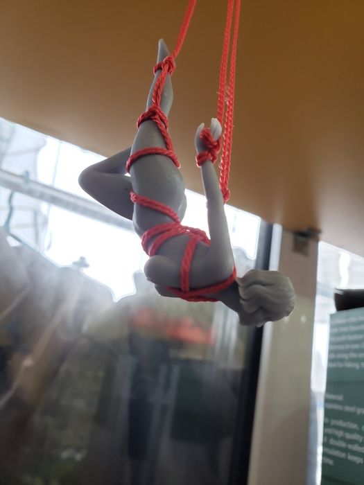 Шибари, подвеска в машину.