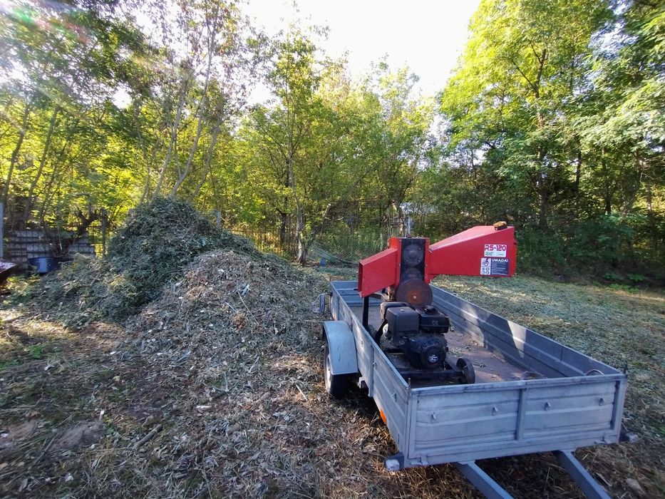 Czyszczenie działek, ogrodzenia tymczasowe, cięcie drewna, sprzątanie