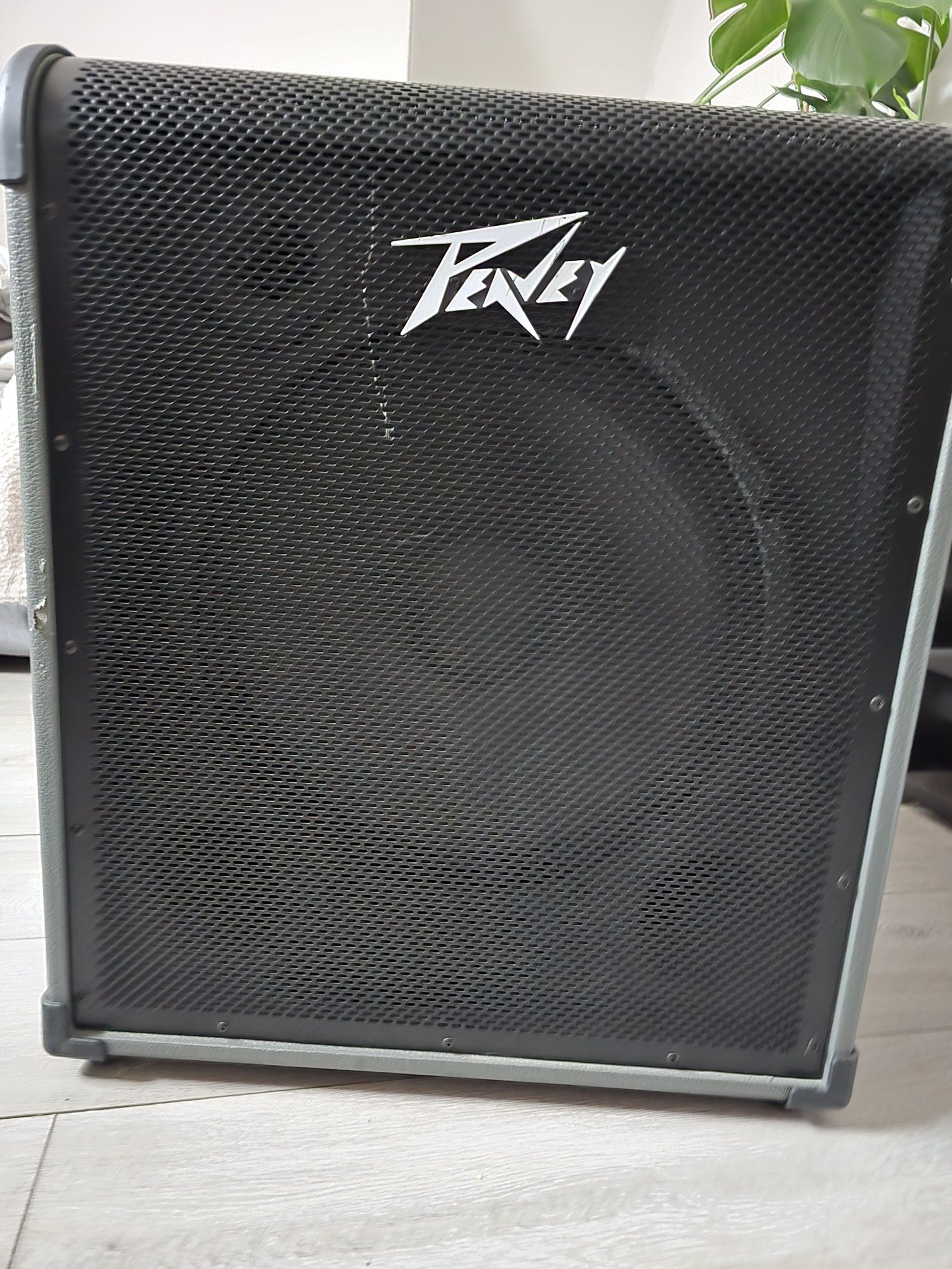 Peavey MAX 250 combo basowe