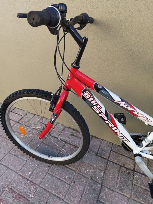Bicicleta de montanha