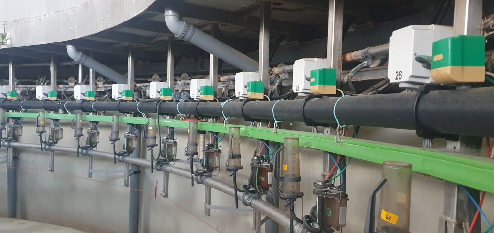 Karuzela udojowa GEA AutoRotor Global 48 hala robot delaval lely