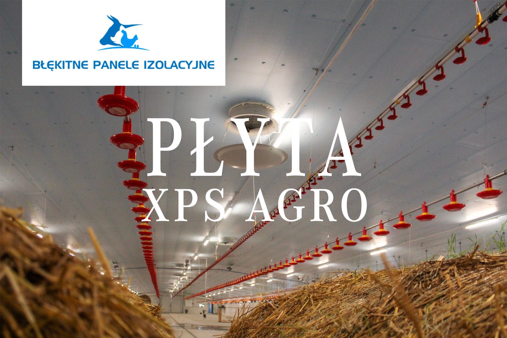 Płyta Thermo Styrodur XPS AGRO Podsufitka Inwentarska Podbitka Dachowa