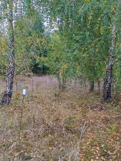 продам будинок село Лихачиха