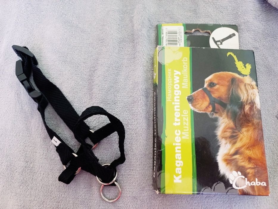 Kaganiec treningowy, kantarek.