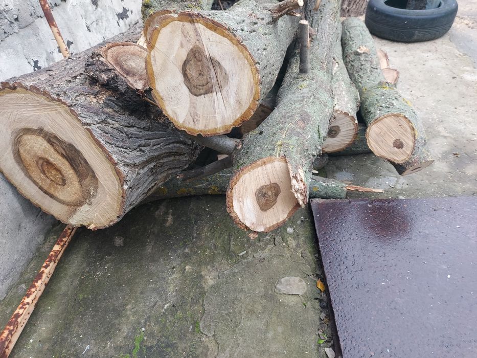 Стовбур горіха 8 шт діамтр різний самовивіз