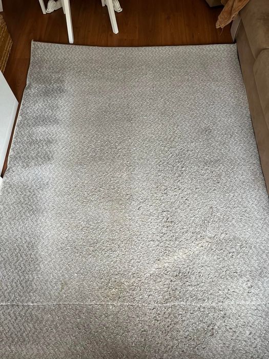 Carpete Kinda em otimo estado