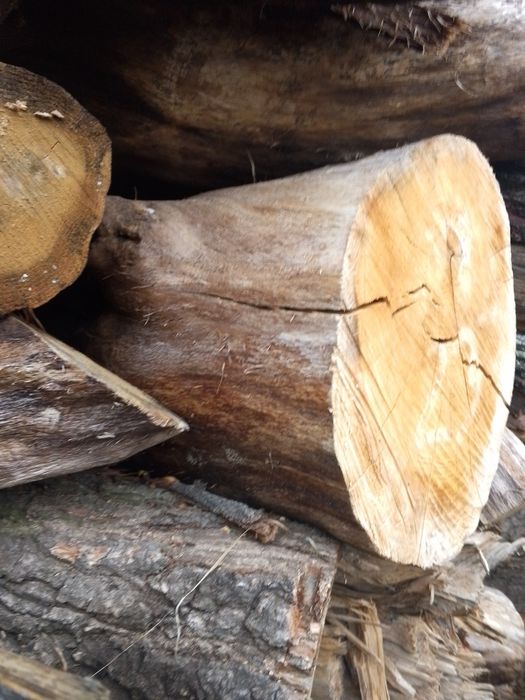 Sprzedam drewno kominkowe