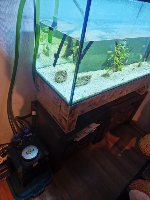 Sprzedam Akwarium że wszystkimi co na zdjęciu