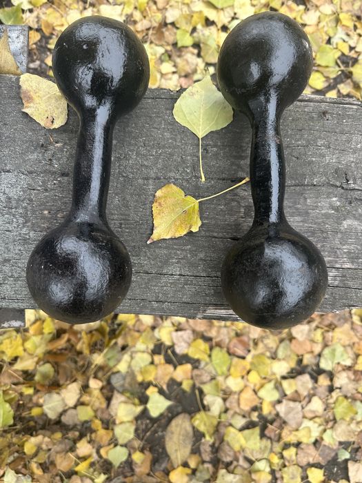 Гантели советские по 5 кг