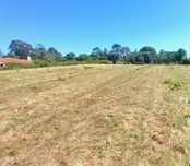 Terreno 10.000 m2 Santarém