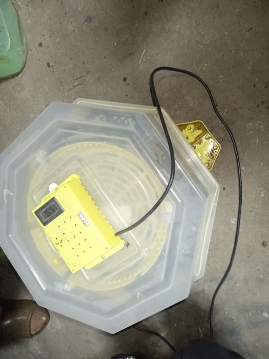Inkubator półautomatyczny