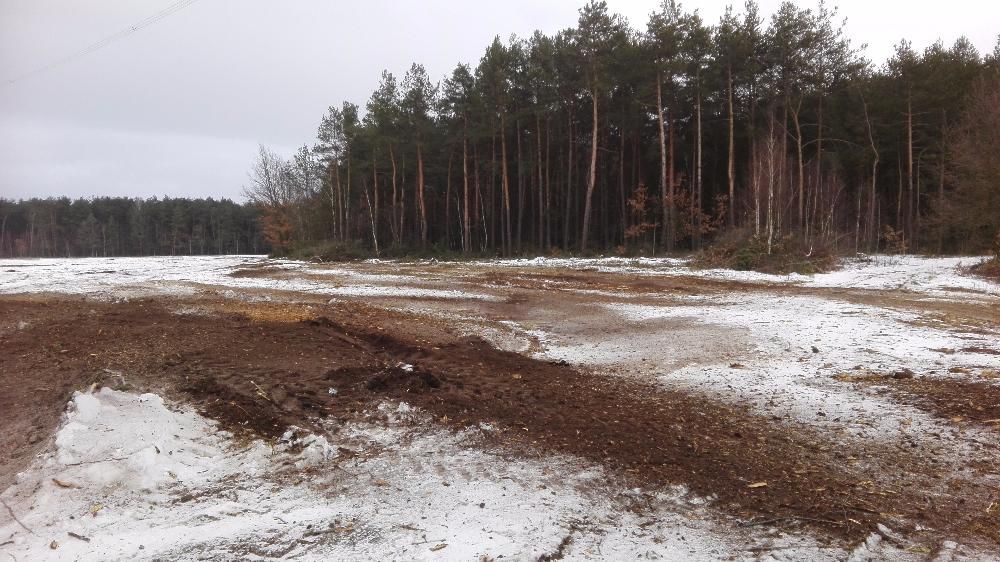MulczerLeśnyMulczowanieSkarpKarczowanieDziałek RekultywacjaFrezowanie