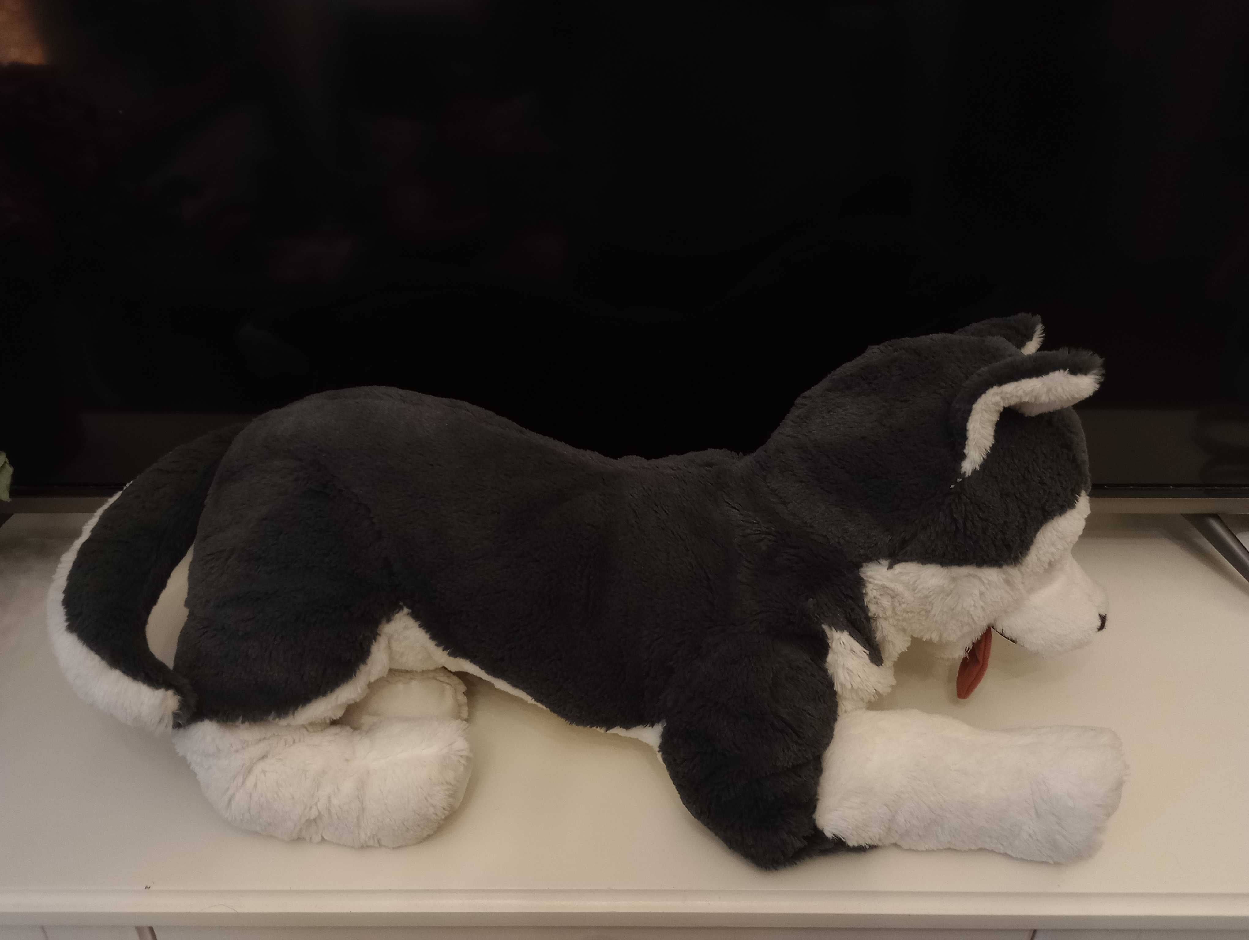 IKEA husky pluszak maskotka nowy gigant