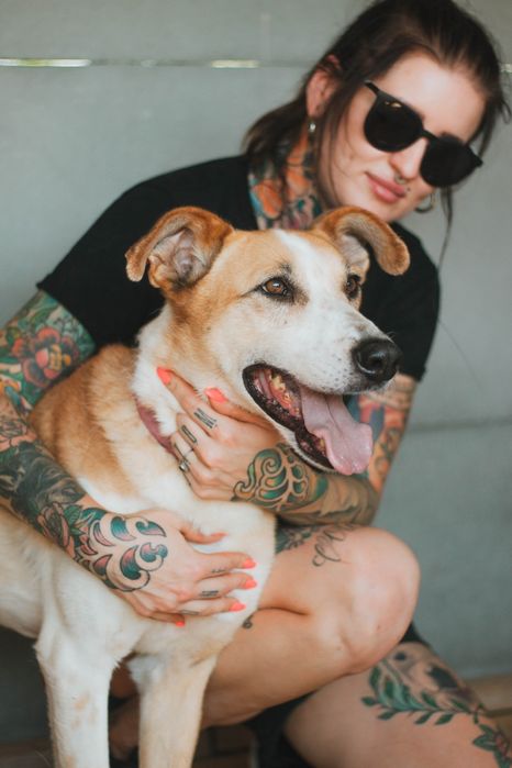 Aza psia piękność szuka domu! | MASZ NOSA