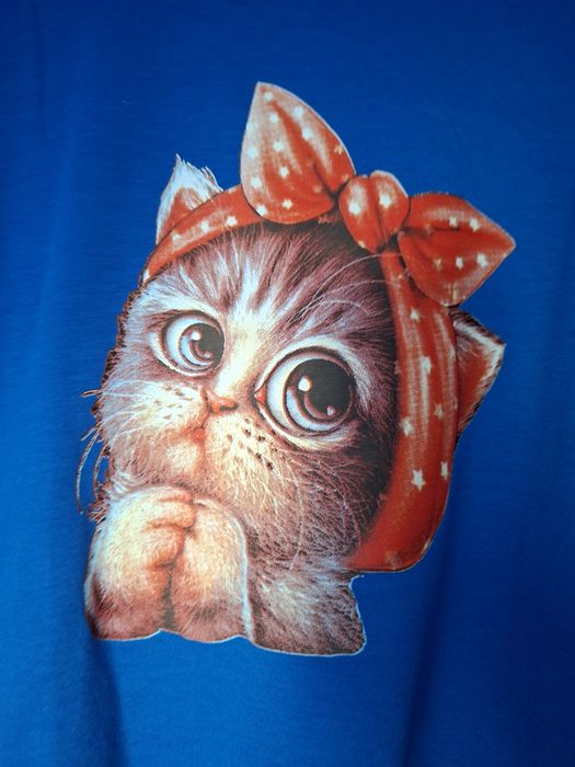 Nowa chabrowa bluza aplikacja kotek firmy Katalinski r. M