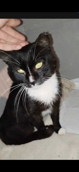 PILNE:wraca na działki!   On ufa i kocha