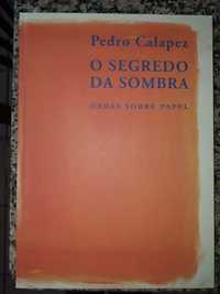 Livro novo O Segredo da sombra de Pedro Calapez Obras sobre papel