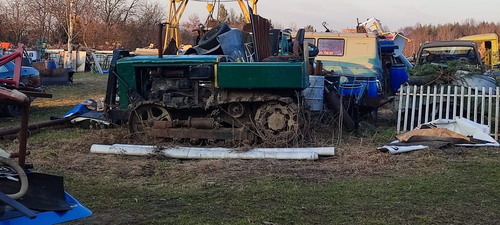Mazurek D50 traktor gąsienicowy
