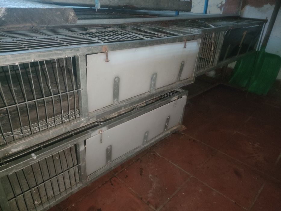 kosze  kabinka do przewozu golebi