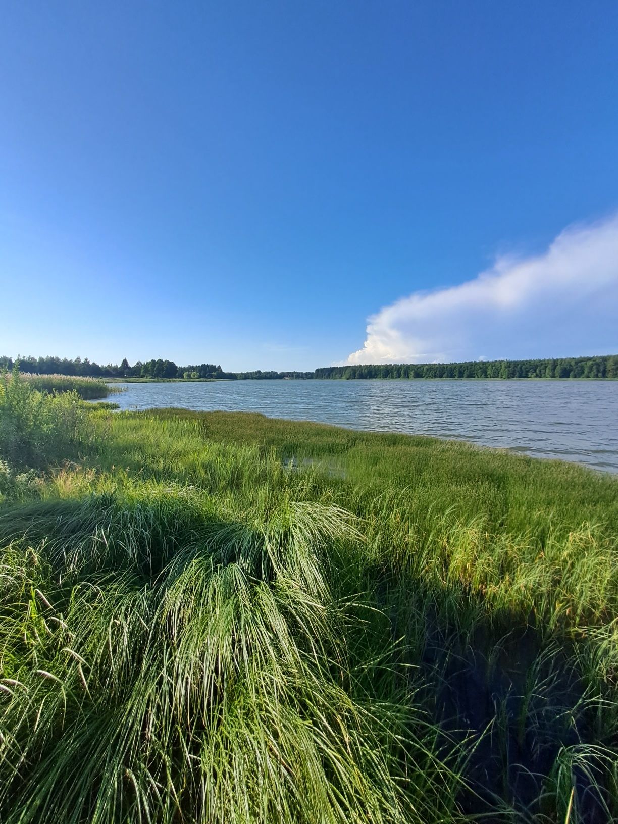 Wynajmę domek letniskowy na Mazurach