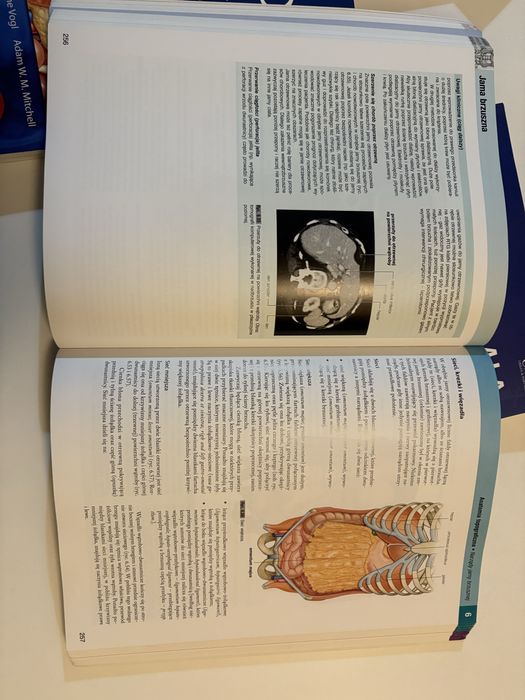 Anatomia Grey tomy 1-3 + gratis pytanai testowe 1-3