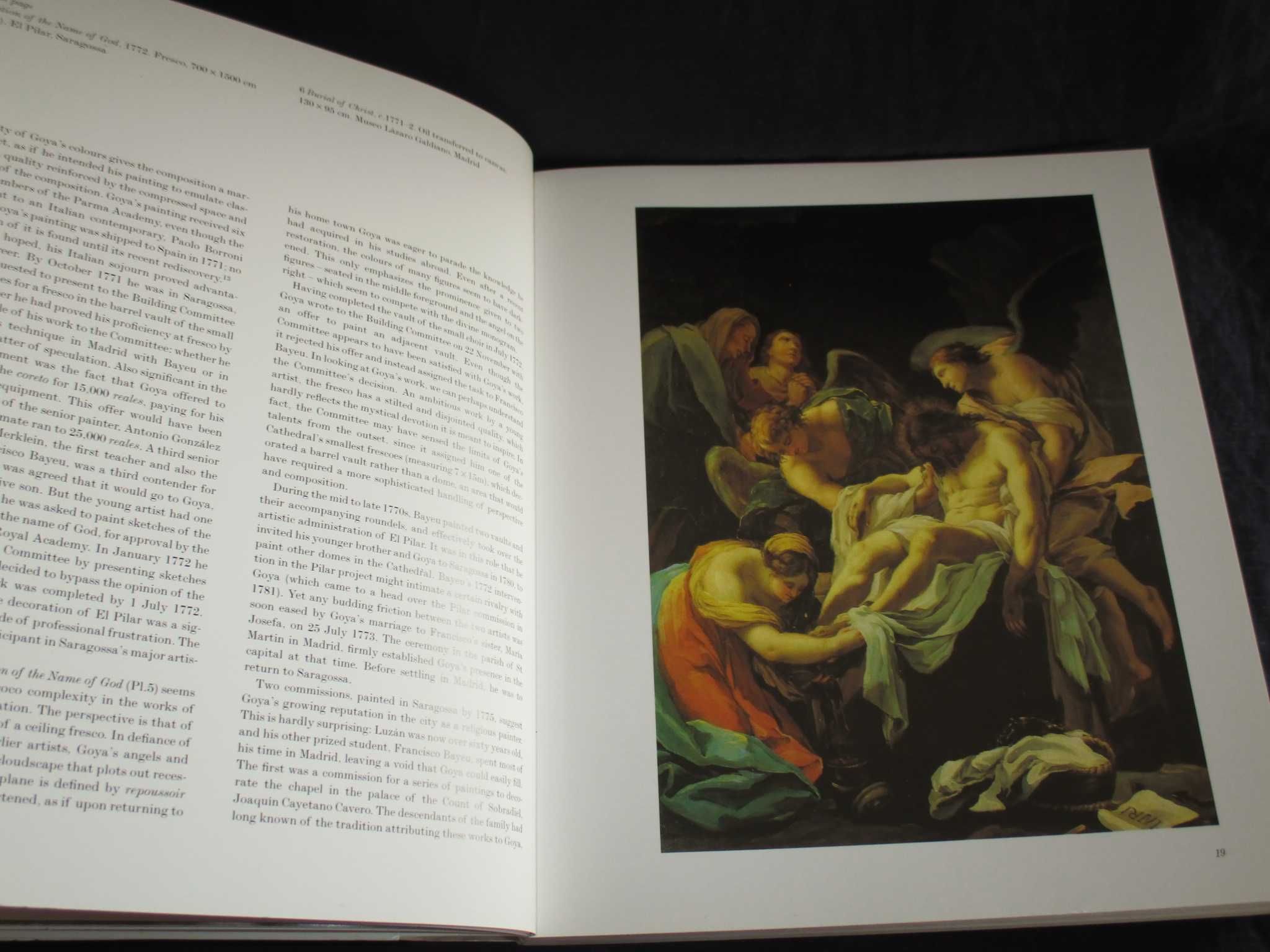 Livro Francisco Goya y Lucientes 1746 a 1828 Janis Tomlinson