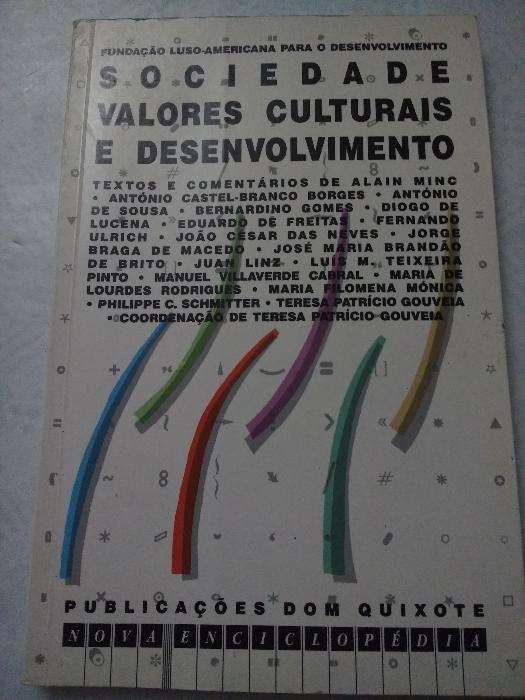 Sociedade, valores culturais e desenvolvimento.Teresa Patrício Gouveia