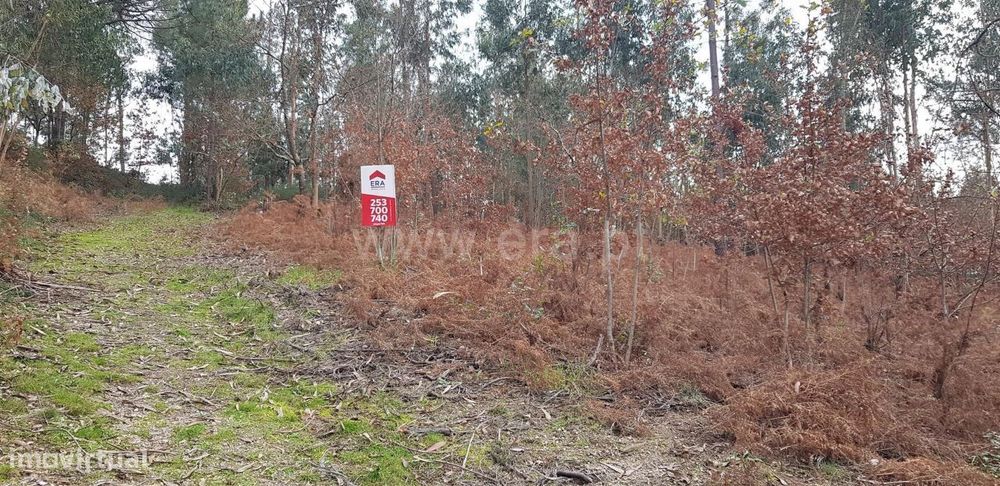 Terreno rústico com 4.504 m2 em Serafão