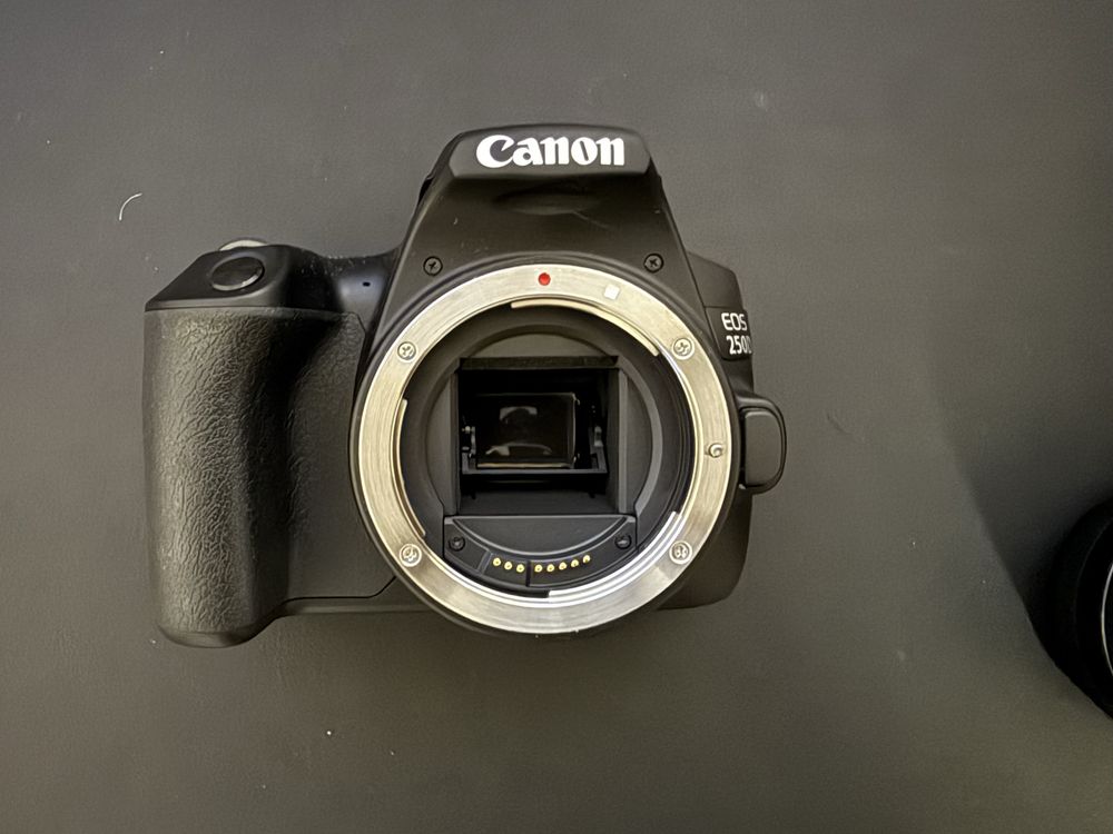 Canon EOS 250D + Objetiva + Bolsa de Acessórios Originais