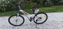 Rower dla dziewczynki  Wheeler Proton